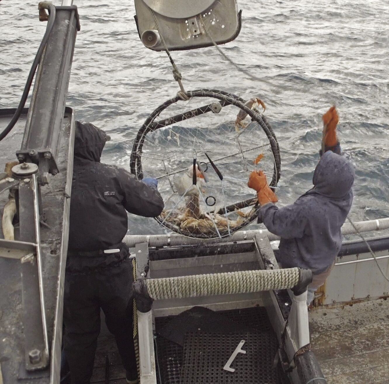 Crab fishery